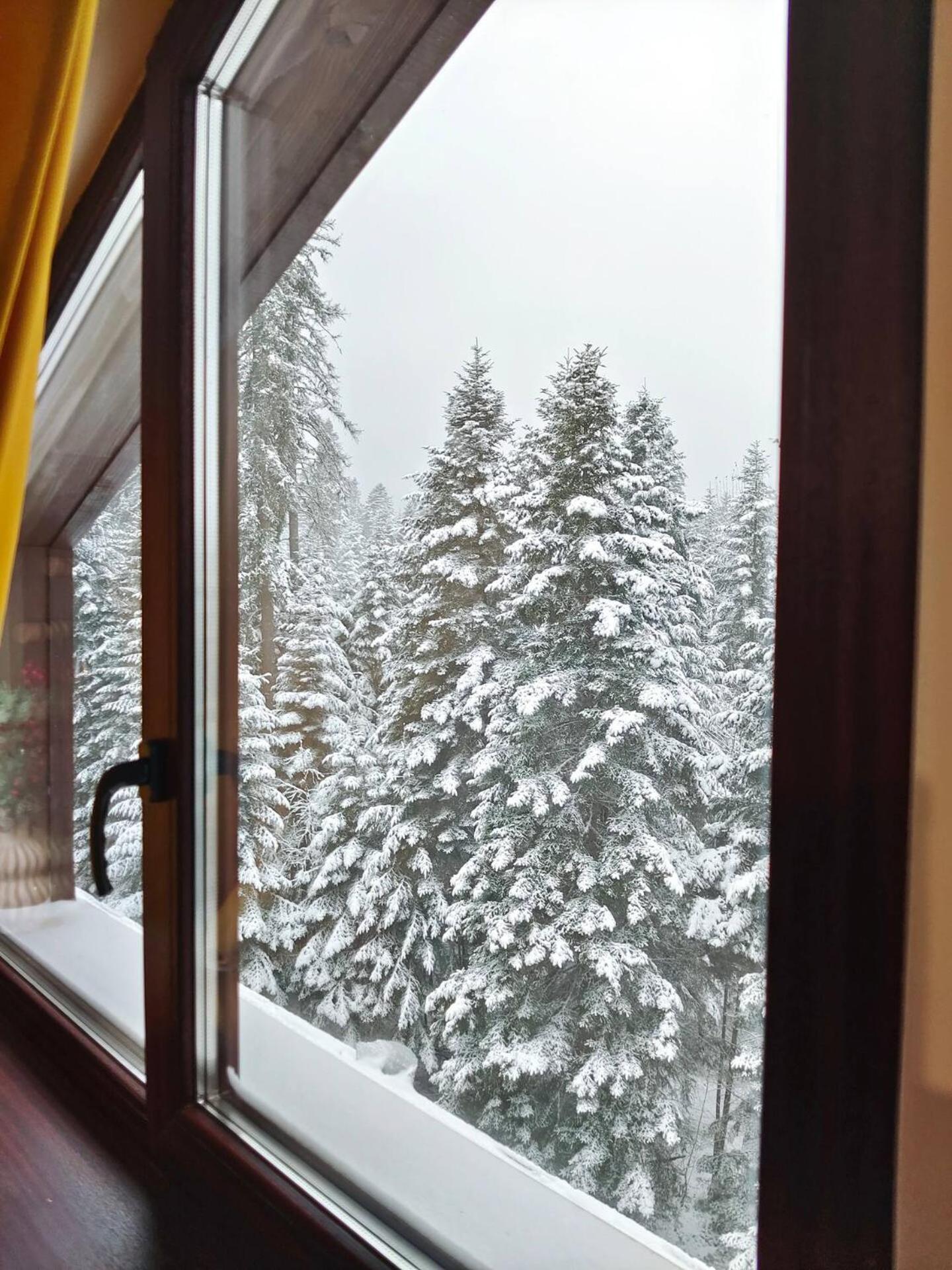 Borovets Dream Studio Exterior foto